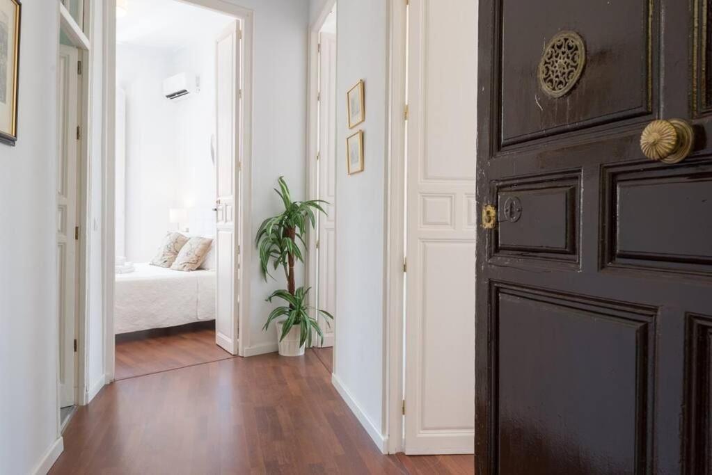 Sunny Malaga Apartments Room photo